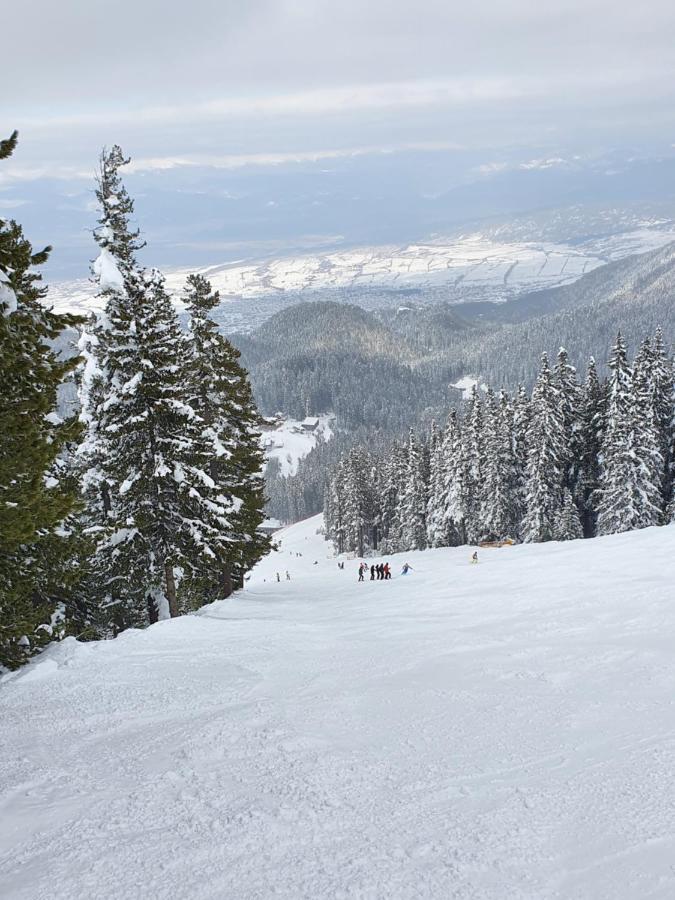 Spacious And Cosy Apartment In Bansko Royal Towers Complex Exterior foto